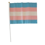 Transgender 20 x 27 cm hand Flag